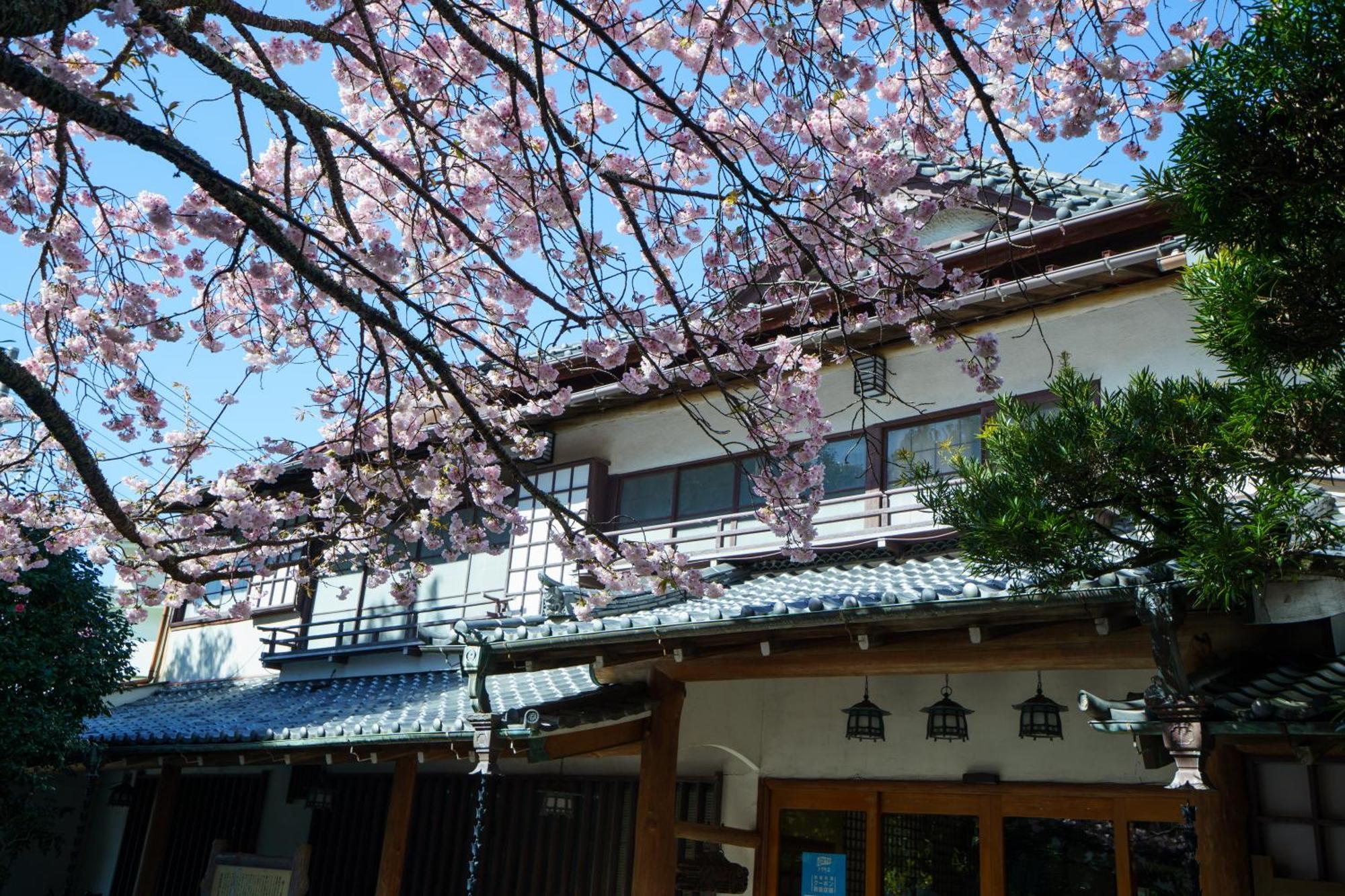 ホテル 坂聖　玉樟園 伊豆市 エクステリア 写真